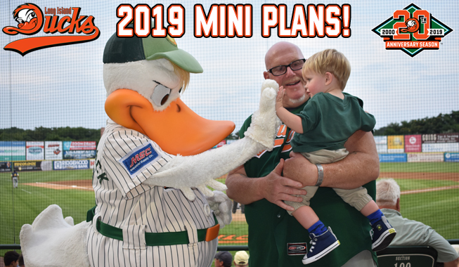 2019-Mini-Plans-II.jpg