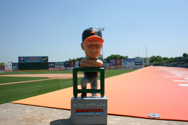 bud-bobble-web.jpg