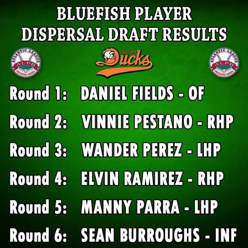 ATLANTIC LEAGUE HOLDS BLUEFISH PLAYER DISPERSAL DRAFT